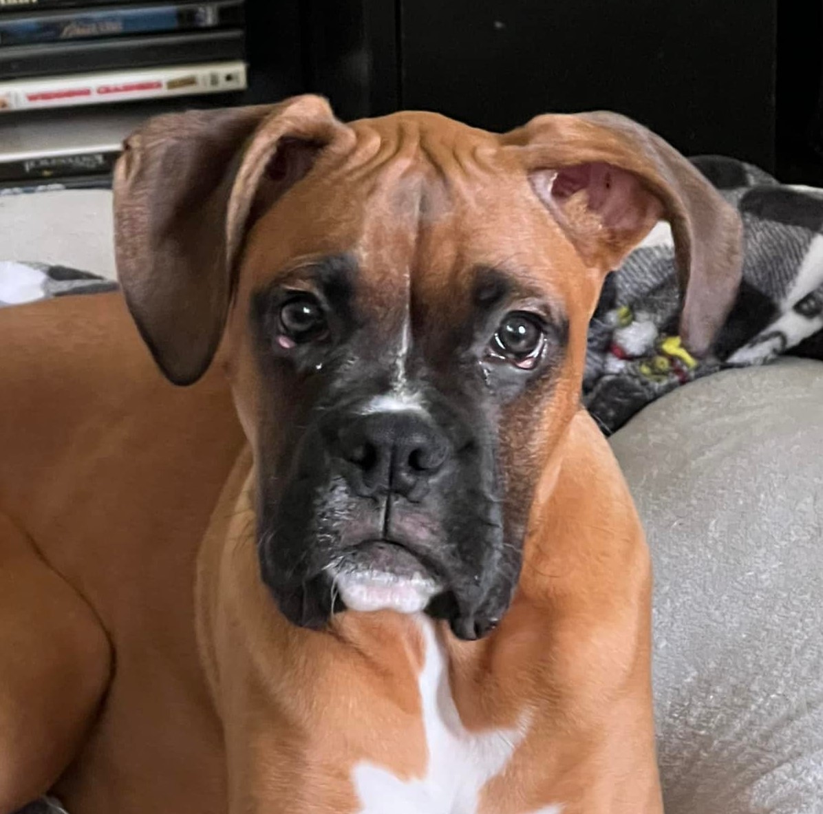 Exterior and Prep Crew