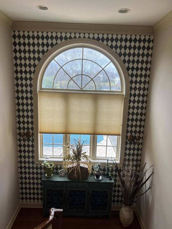 Exterior house painting